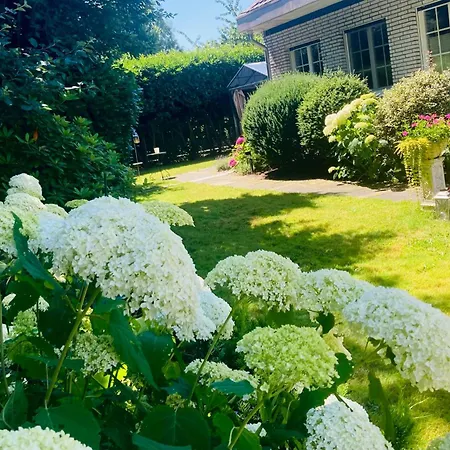 Im Haus Annabelle Tiefparterre アパート *
