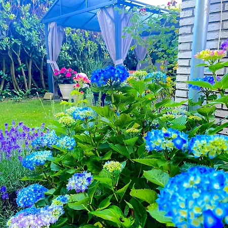 Im Haus Annabelle Tiefparterre